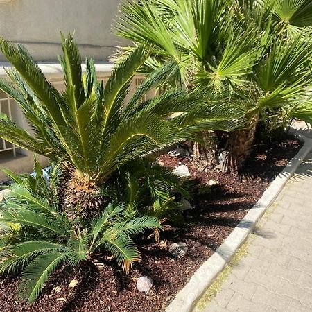 Casa Cacao Pres Plage Et Velodrome Марсель Экстерьер фото